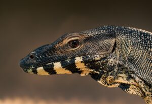 育毛グッズのモニター応募方法と注意点は？