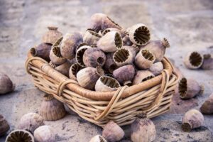 育毛美容液のナノカプセル浸透効果はどのように実現されるのか？