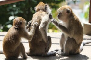 頭皮のかゆみを解消する敏感ケアの方法は？