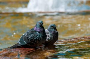 頭皮をクールダウンする化粧水の効果とは？