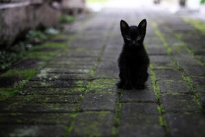髪のために生活習慣を改善して育毛する方法は？