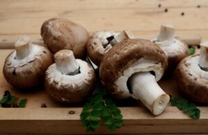 薄毛改善に効果的なトニックの成分とは？