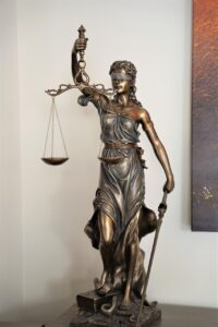 育毛剤の初回半額トライアルは本当にお得なのか？