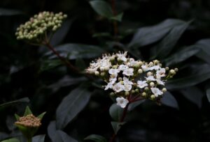 やめたら抜け毛が減る？その真相とは？