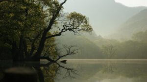育毛サプリのノコギリヤシ効果とは何か？
