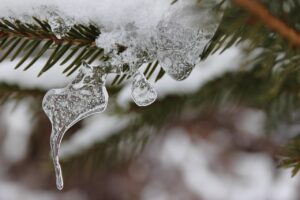 自宅でできる育毛に効果的な頭皮ケア方法は？