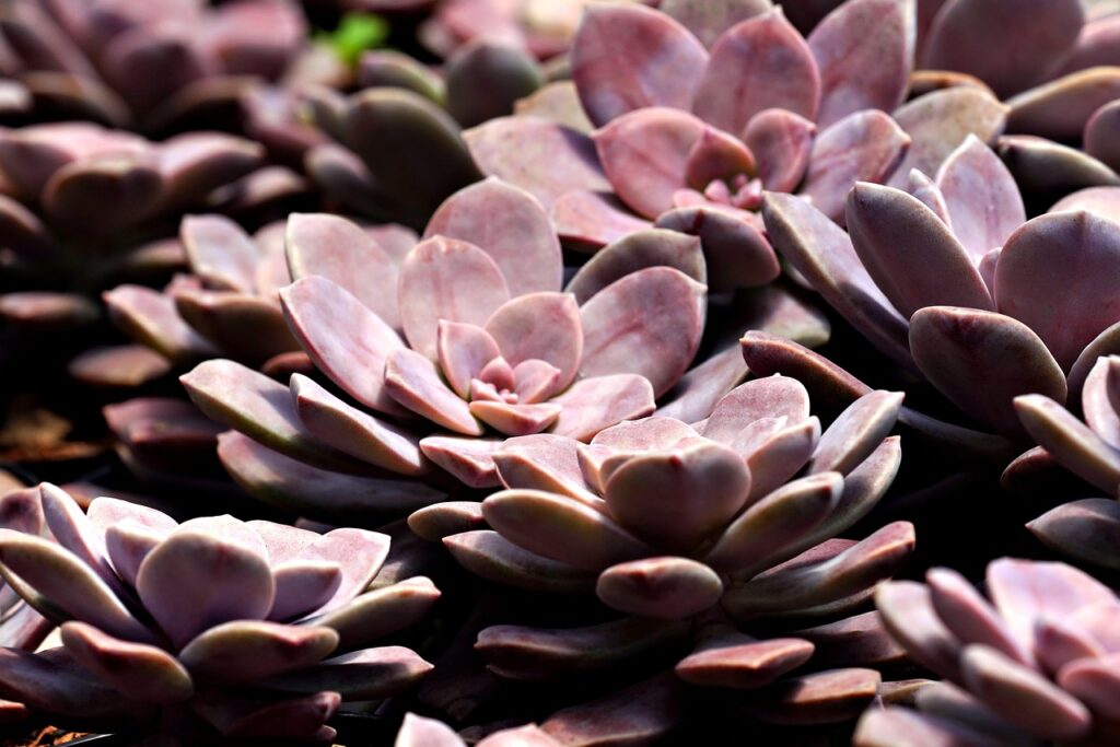 自宅でできる育毛の最強人気方法は？
