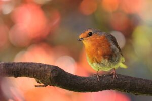 自宅育毛の効果を確認するためのチェックリストは？