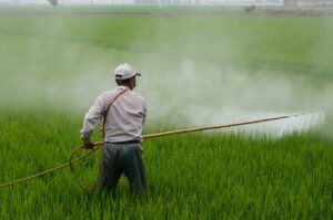 育毛剤の口コミと評判は本当に信頼できる？